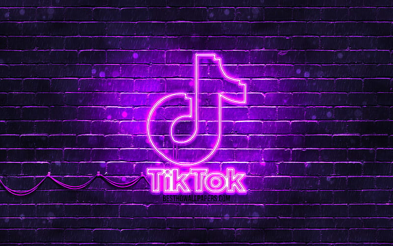 Tiktok Downloader
